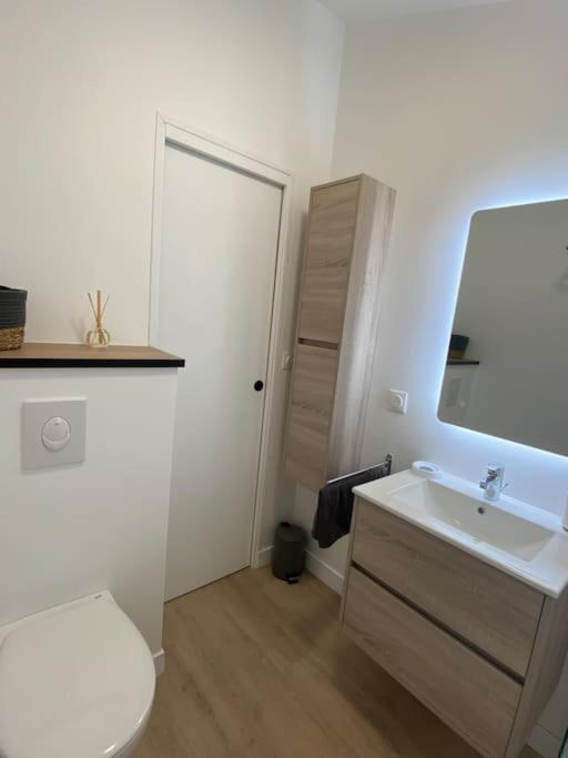 Appartement Cosy Avec Jardin En Centre-Ville 佩罗斯－吉雷克 外观 照片